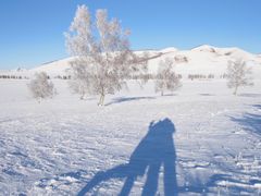 -塞罕坝国家级自然保护区