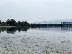 -西昌邛海湿地