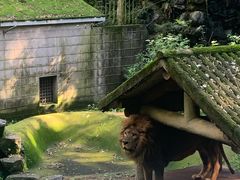 -杭州动物园