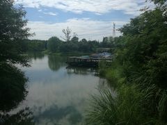 -梁鸿国家湿地公园