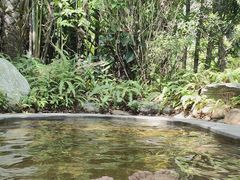 -碧桂园润杨溪谷温泉酒店