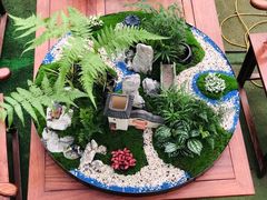 -金陵花卉交易市场