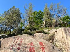 -泰山风景名胜区