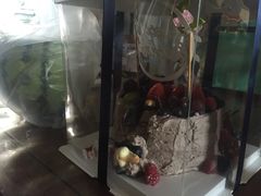 -EnergyCake蛋糕理想国
