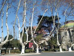 -东南大学(四牌楼校区)