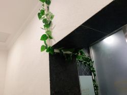 点击看大图 -悦色嘉丽科技美肤健康管理