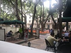 室外-星巴克臻选(广州沙面店)