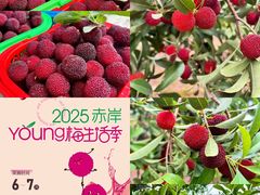 -义乌之心城市生活广场