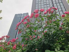 -黄浦路(地铁站)