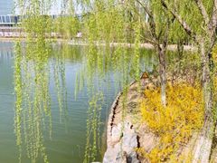 -大兴滨河森林公园