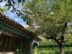-竹泉村旅游度假区