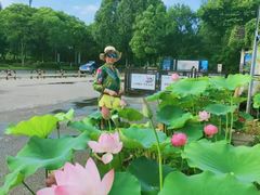 -无锡蠡湖国家湿地公园-蠡园