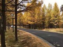 -塞罕坝国家级自然保护区