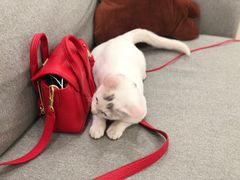 -iF摄影•全家福•证件照•形象照(南山店)