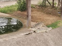 -无锡动物园·太湖欢乐园