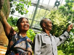 -南山植物园