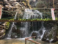 -藏龙百瀑风景区