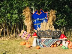 -HERRE·FARM 赫尔露营农场·团建聚会包场