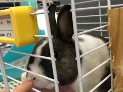 -UltraForce超源健身私教工作室(长楹天街精品店)