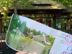 -东平国家森林公园
