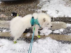 -锦绣小渔村(锦云街店)