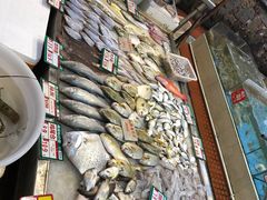 -御唐府海珊瑚主题餐厅