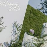 哇[加油]太爱啦，草滴味道，爱的味道