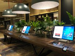 -新加坡瑞士史丹福酒店