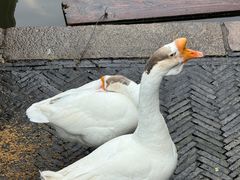 -苏州碑刻博物馆