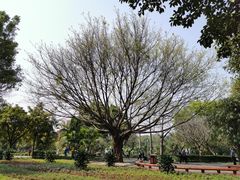 -晓港公园