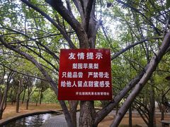 -开元溶洞