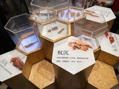-中国沉香文化博物馆