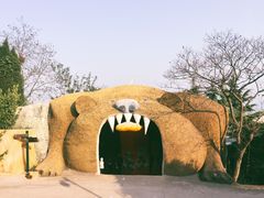 -东方熊牧场