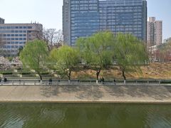-金宫殿故址