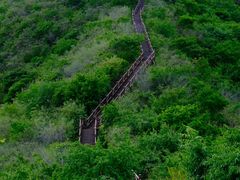 -大岭沟猕猴桃谷风景区