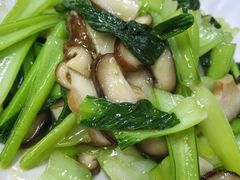 -清真·伊清阁餐厅