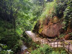 -南山植物园