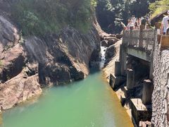 -广州白江湖森林公园