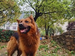 -武汉姚家山旅游景区