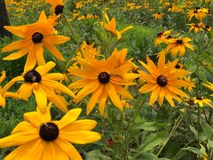 -南戴河国际娱乐中心