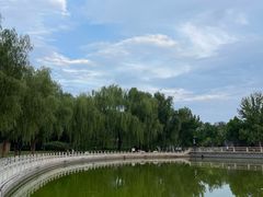 -莲花池公园