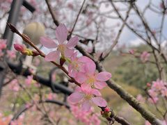 -小南山公园