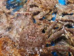 -盒马鲜生(馥邦国际店)