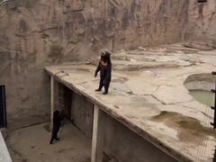 -大连森林动物园