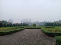 -南沙蒲洲花园
