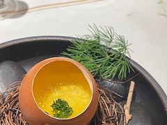 -觀芷隐轩