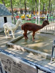 -蓝可可亲子乐园(北苑店)