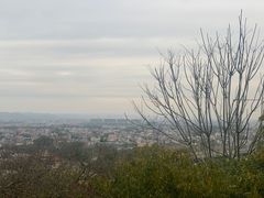 -神光山国家森林公园