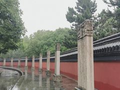 -观潮胜地公园