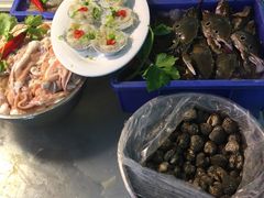 -金砂阿洲鱼册店